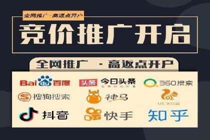 百度搜索推广实战经验：经典案例启示录